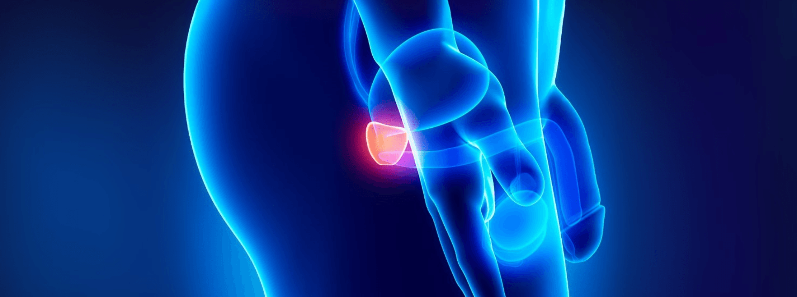 inflamación de la próstata en una persona