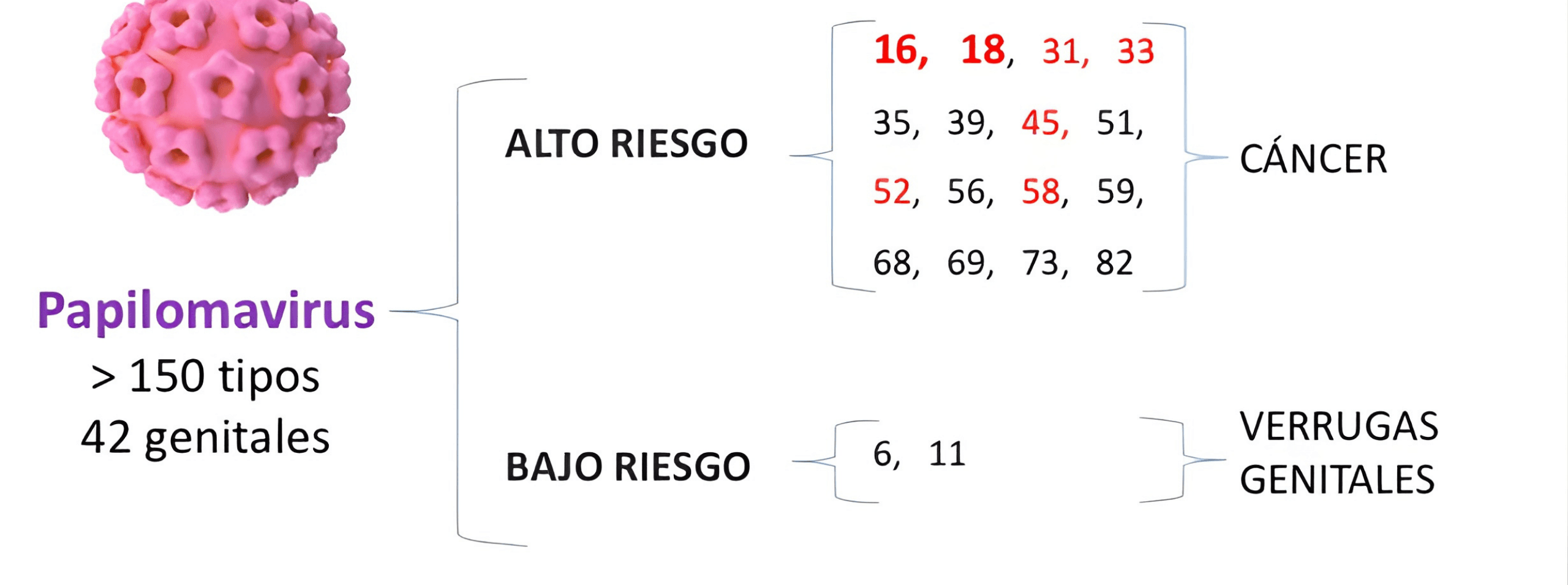 vph de bajo y alto riesgo